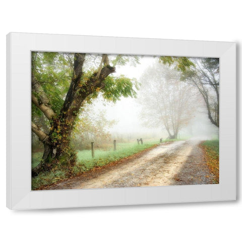 Feel the Silence White Modern Wood Framed Art Print by Head, Danny