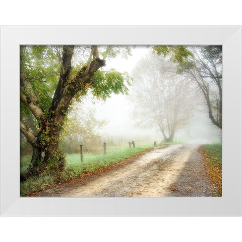Feel the Silence White Modern Wood Framed Art Print by Head, Danny