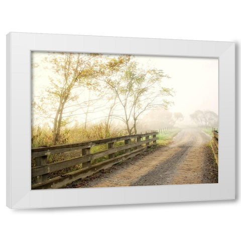 Crossing Over White Modern Wood Framed Art Print by Head, Danny