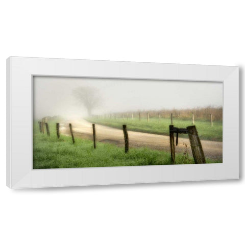 Around the Bend White Modern Wood Framed Art Print by Head, Danny