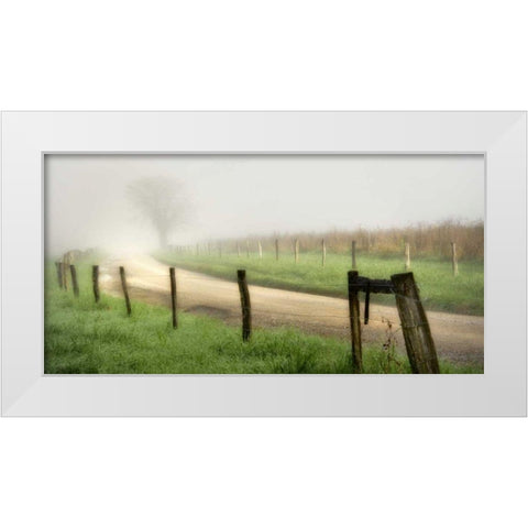 Around the Bend White Modern Wood Framed Art Print by Head, Danny