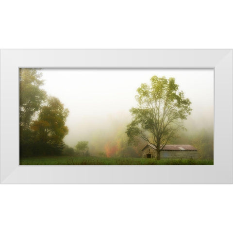 Fog at the Farm White Modern Wood Framed Art Print by Head, Danny