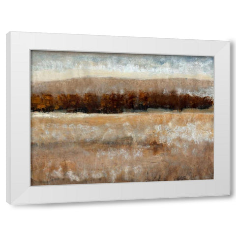 Umber Light II White Modern Wood Framed Art Print by OToole, Tim