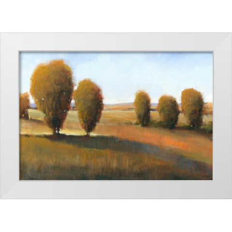 Afternoon Light I White Modern Wood Framed Art Print by OToole, Tim