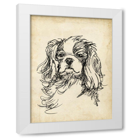 Breed Studies II White Modern Wood Framed Art Print by Harper, Ethan