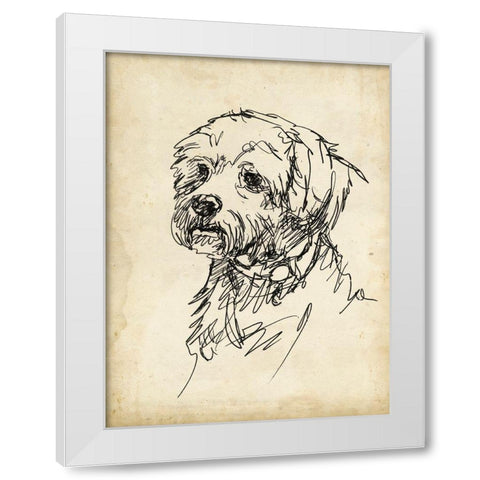 Breed Studies III White Modern Wood Framed Art Print by Harper, Ethan