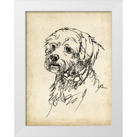 Breed Studies III White Modern Wood Framed Art Print by Harper, Ethan