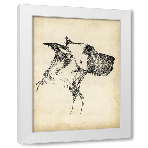 Breed Studies IV White Modern Wood Framed Art Print by Harper, Ethan