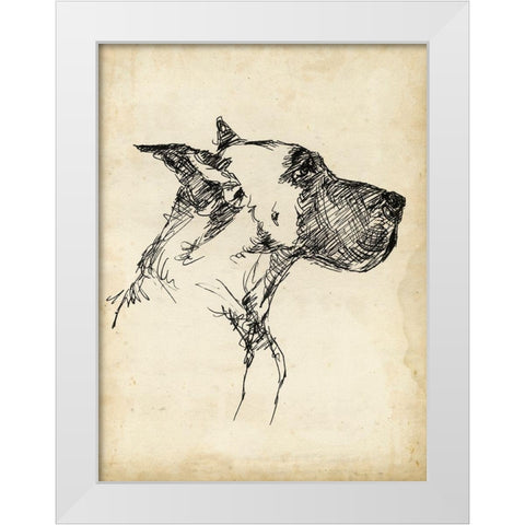 Breed Studies IV White Modern Wood Framed Art Print by Harper, Ethan