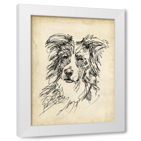 Breed Studies V White Modern Wood Framed Art Print by Harper, Ethan