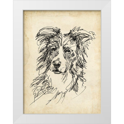 Breed Studies V White Modern Wood Framed Art Print by Harper, Ethan