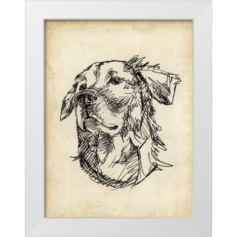 Breed Studies VIII White Modern Wood Framed Art Print by Harper, Ethan