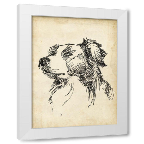 Breed Studies IX White Modern Wood Framed Art Print by Harper, Ethan