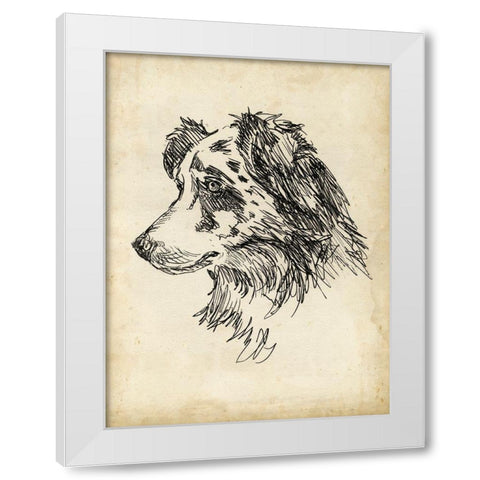 Breed Studies XI White Modern Wood Framed Art Print by Harper, Ethan