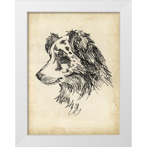 Breed Studies XI White Modern Wood Framed Art Print by Harper, Ethan