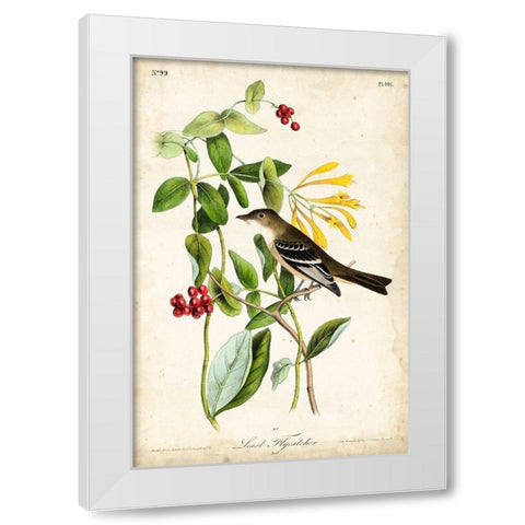 Audubon Bird and Botanical II White Modern Wood Framed Art Print by Audubon, John James