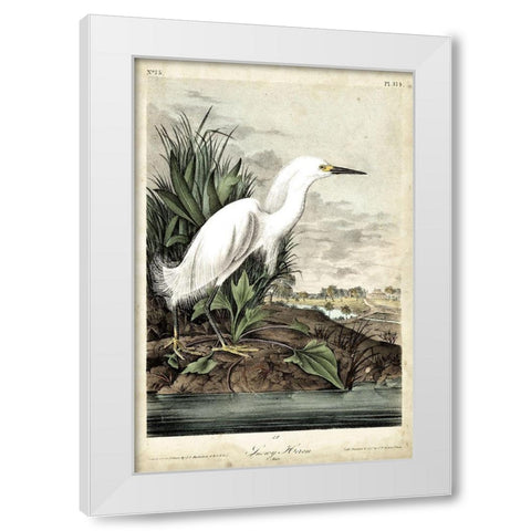 Snowy Heron White Modern Wood Framed Art Print by Audubon, John James