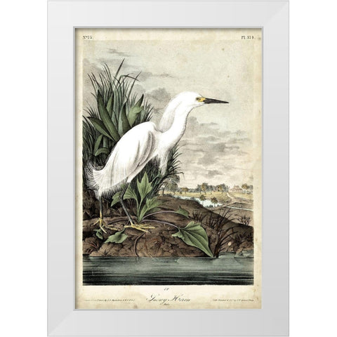 Snowy Heron White Modern Wood Framed Art Print by Audubon, John James