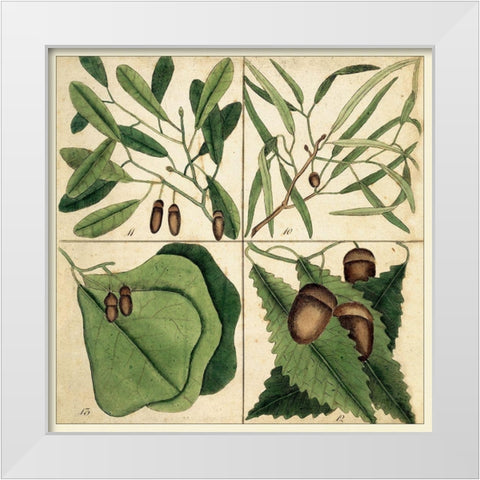 Catesby Leaf Quadrant II White Modern Wood Framed Art Print by Catesby, Mark