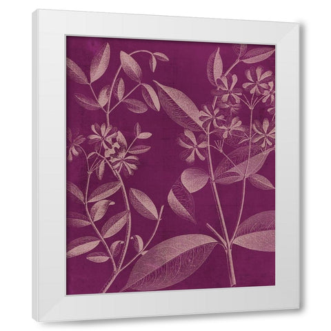 Modern Botany III White Modern Wood Framed Art Print by Vision Studio