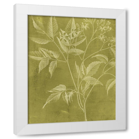 Modern Botany V White Modern Wood Framed Art Print by Vision Studio