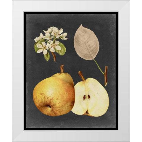 Midnight Harvest IV White Modern Wood Framed Art Print by Vision Studio