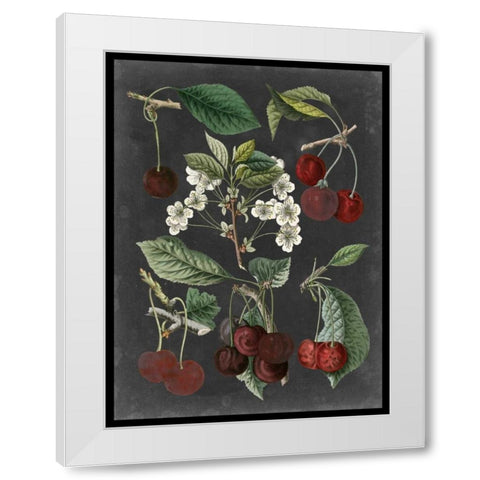 Orchard Varieties I White Modern Wood Framed Art Print by Vision Studio