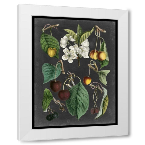 Orchard Varieties II White Modern Wood Framed Art Print by Vision Studio