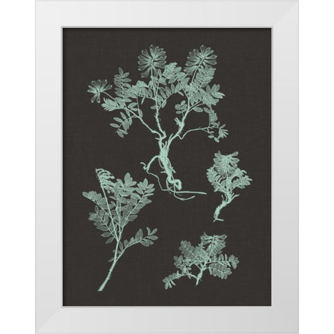 Mint and Charcoal Nature Study II White Modern Wood Framed Art Print by Vision Studio
