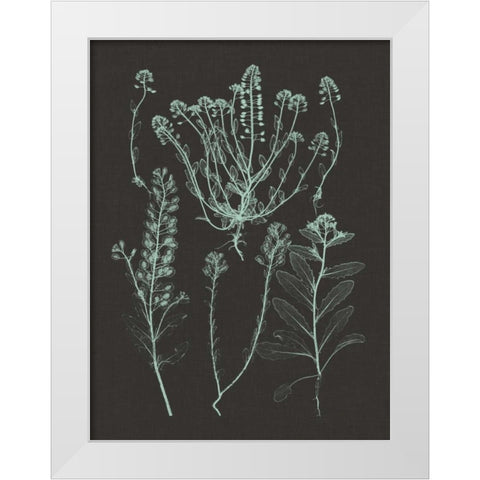 Mint and Charcoal Nature Study III White Modern Wood Framed Art Print by Vision Studio