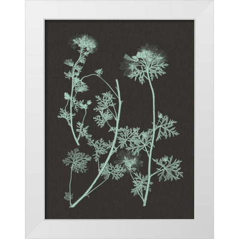 Mint and Charcoal Nature Study IV White Modern Wood Framed Art Print by Vision Studio