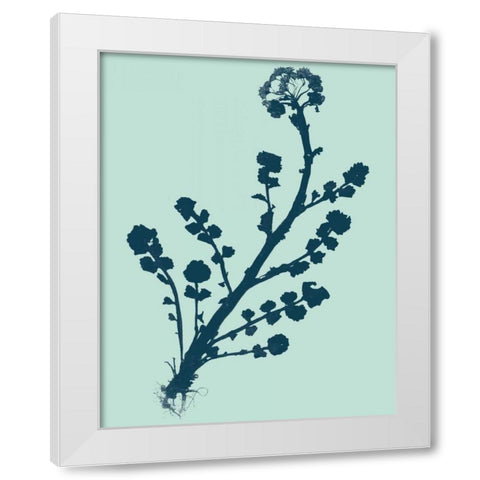 Indigo and Mint Botanical Study II White Modern Wood Framed Art Print by Vision Studio