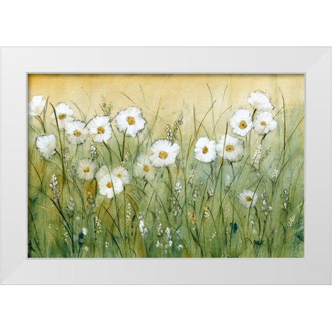 Daisy Spring II White Modern Wood Framed Art Print by OToole, Tim