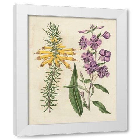 Garden Pairings I White Modern Wood Framed Art Print by Edwards, Sydenham