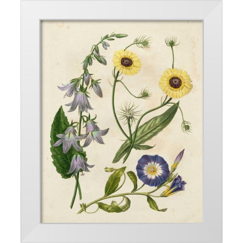 Garden Pairings V White Modern Wood Framed Art Print by Edwards, Sydenham