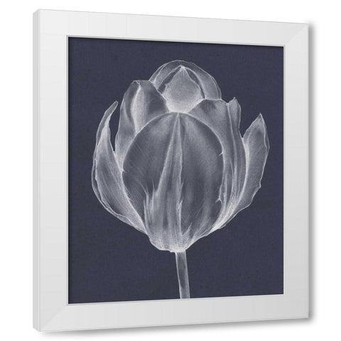Monochrome Tulip I White Modern Wood Framed Art Print by Goldberger, Jennifer