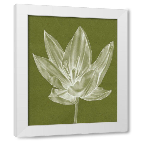 Monochrome Tulip VI White Modern Wood Framed Art Print by Goldberger, Jennifer