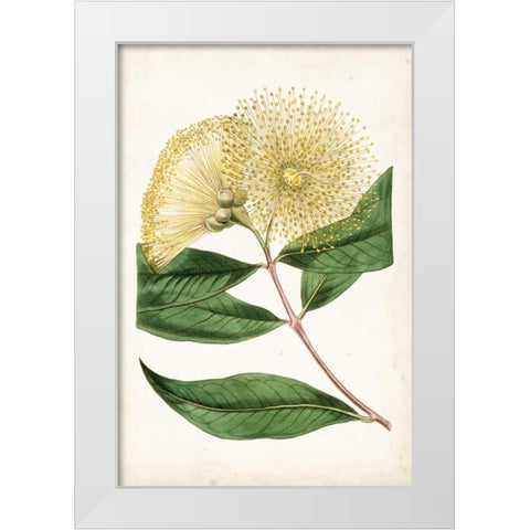 Floral Lace I White Modern Wood Framed Art Print by Curtis