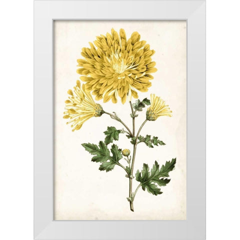 Floral Lace IV White Modern Wood Framed Art Print by Curtis