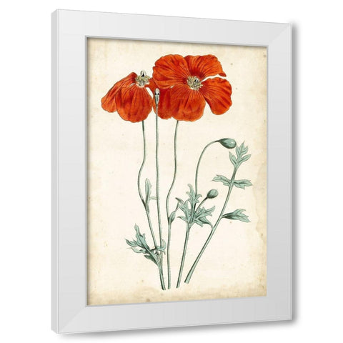 Tangerine Floral V White Modern Wood Framed Art Print by Curtis