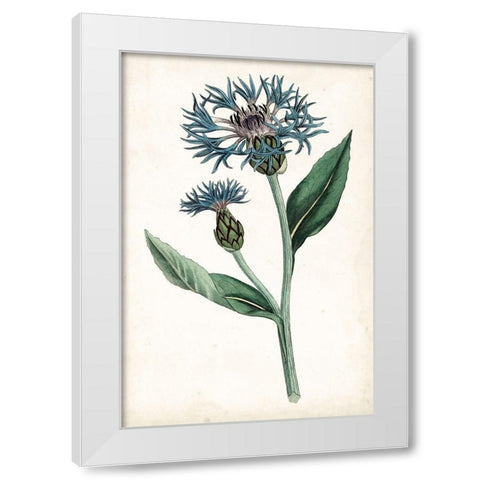 Curtis Blues II White Modern Wood Framed Art Print by Curtis