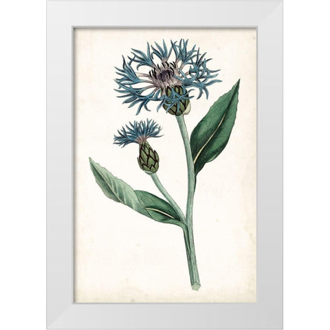 Curtis Blues II White Modern Wood Framed Art Print by Curtis