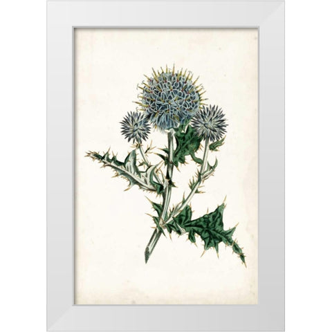 Curtis Blues III White Modern Wood Framed Art Print by Curtis