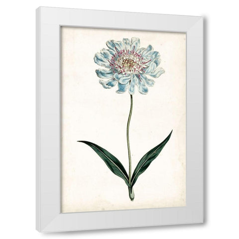 Curtis Blues IV White Modern Wood Framed Art Print by Curtis