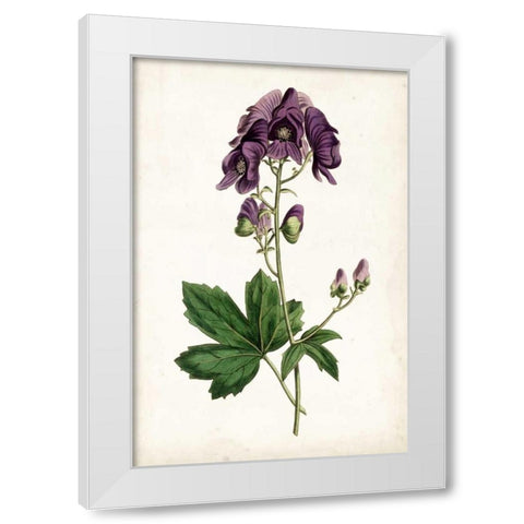 Lavender Florals I White Modern Wood Framed Art Print by Curtis