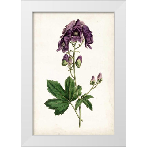 Lavender Florals I White Modern Wood Framed Art Print by Curtis