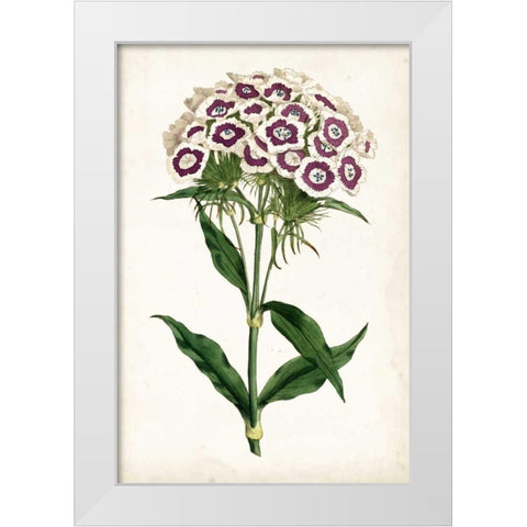 Lavender Florals II White Modern Wood Framed Art Print by Curtis