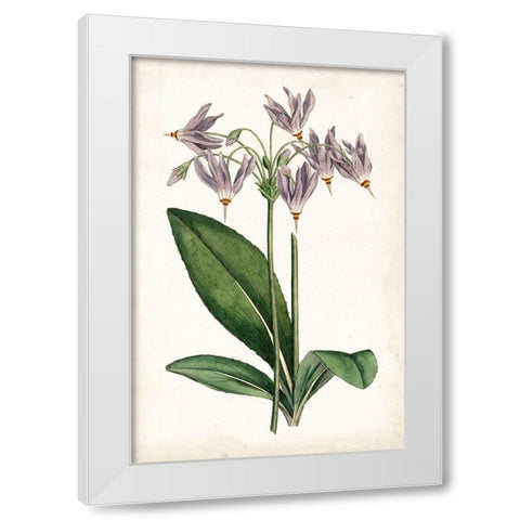 Lavender Florals III White Modern Wood Framed Art Print by Curtis