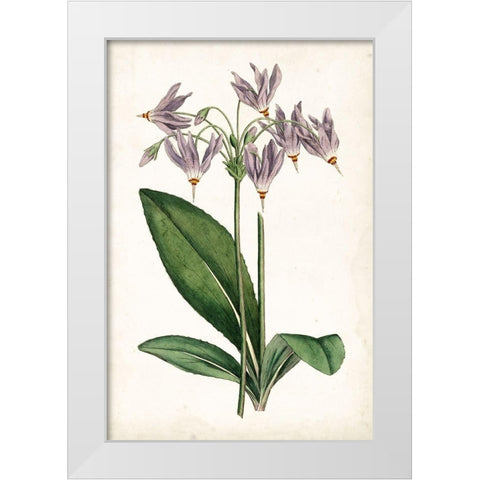 Lavender Florals III White Modern Wood Framed Art Print by Curtis