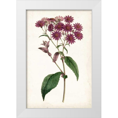 Lavender Florals IV White Modern Wood Framed Art Print by Curtis